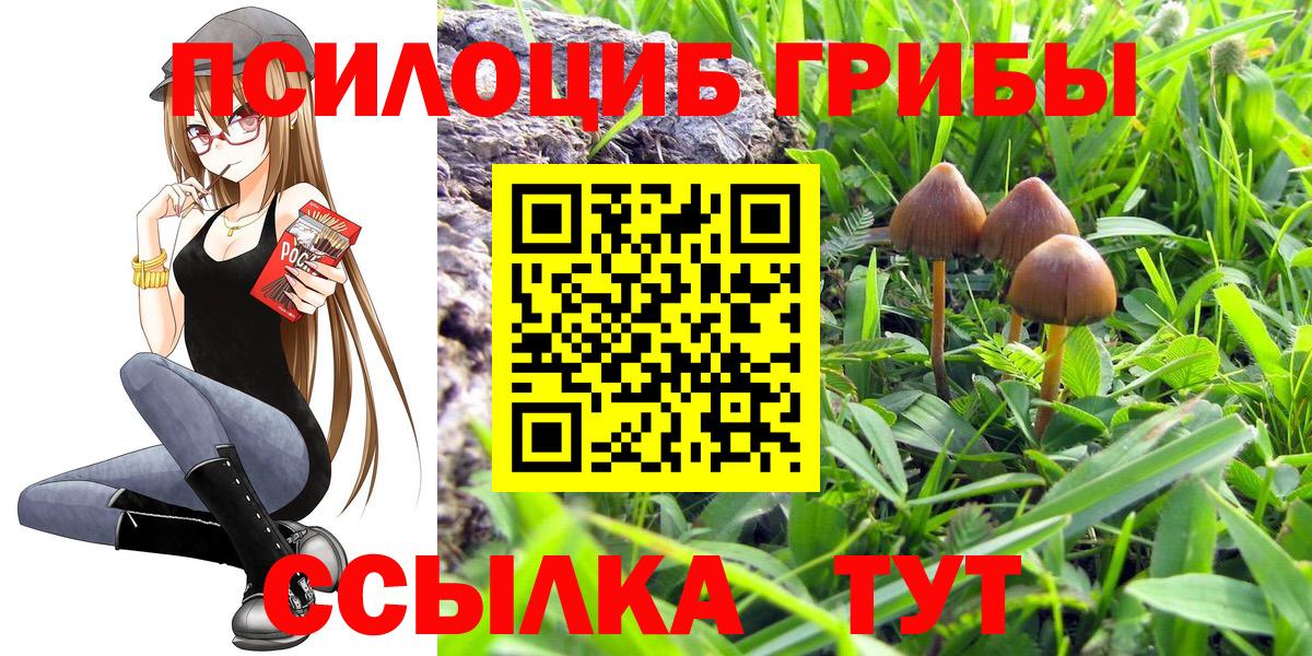Галлюциногенные грибы Cubensis  Галлюциногенные грибы прущие грибы  Вход с VPN  Тверь 